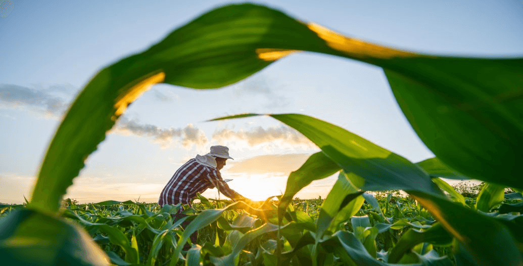 Capa Conteúdos Sebrae Play (9).jpg