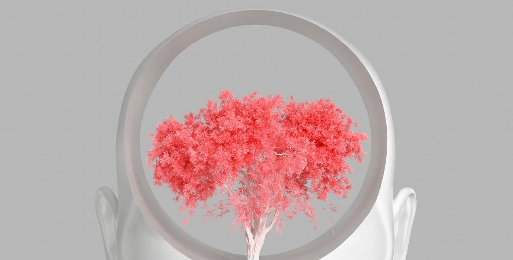 Capa Conteúdos Sebrae Play (52).jpg