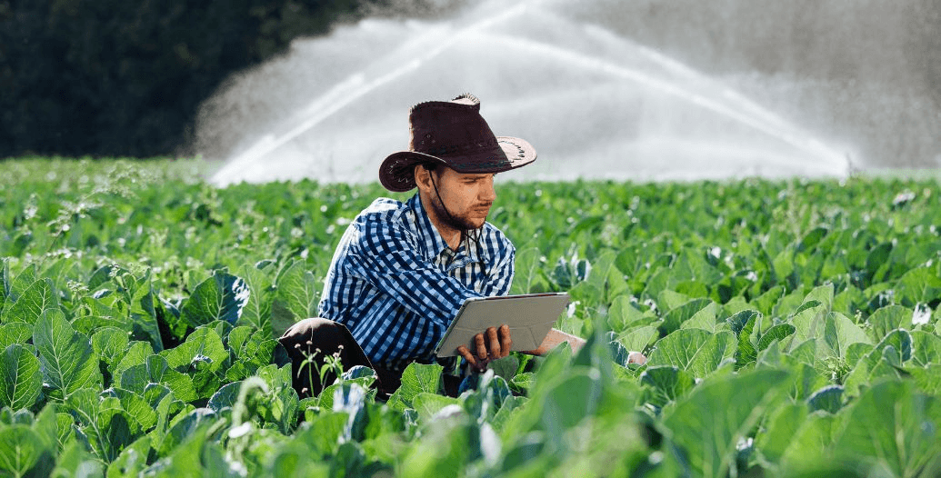 Capa Conteúdos Sebrae Play.jpg