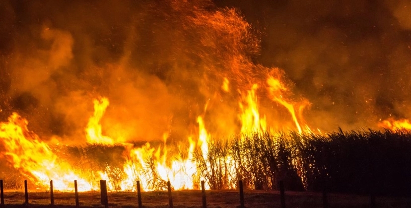 Capa Conteúdos Sebrae Play.jpg