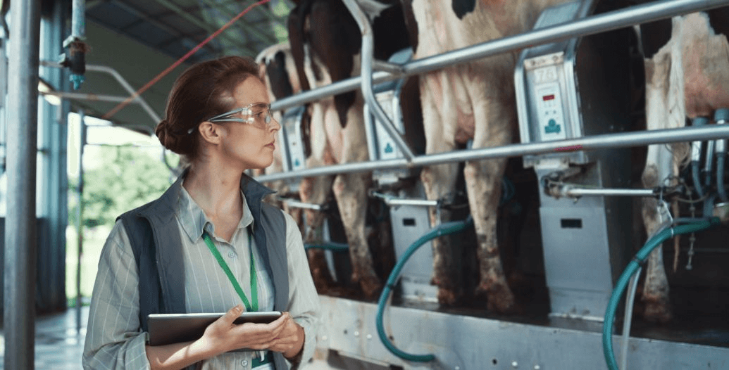 Capa Conteúdos Sebrae Play.jpg