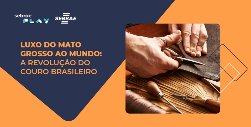 20-Sebrae_Play_Ficomex.png