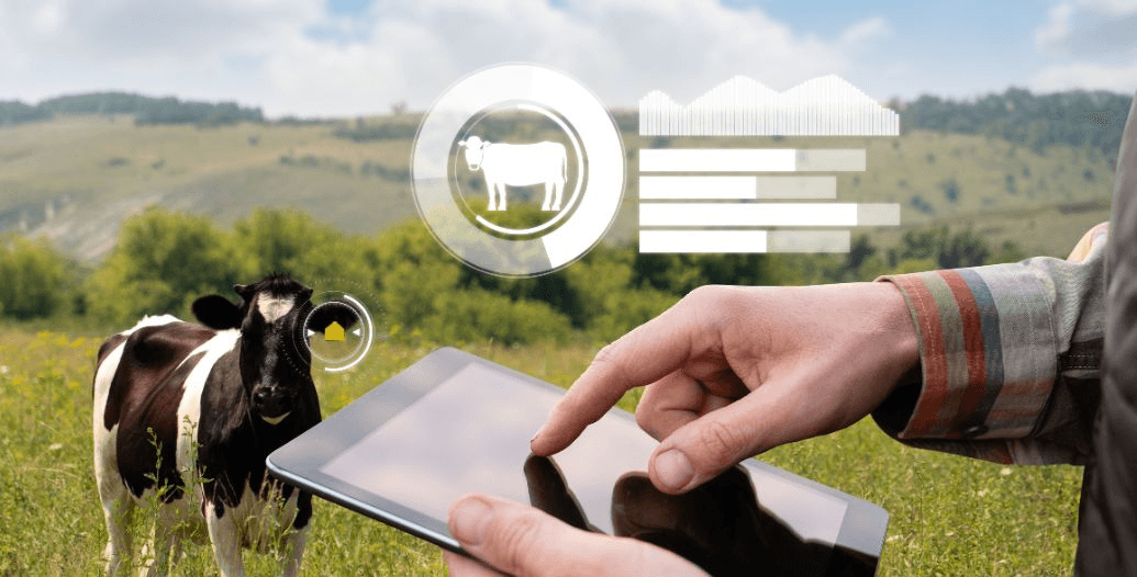 Capa Conteúdos Sebrae Play (1).jpg