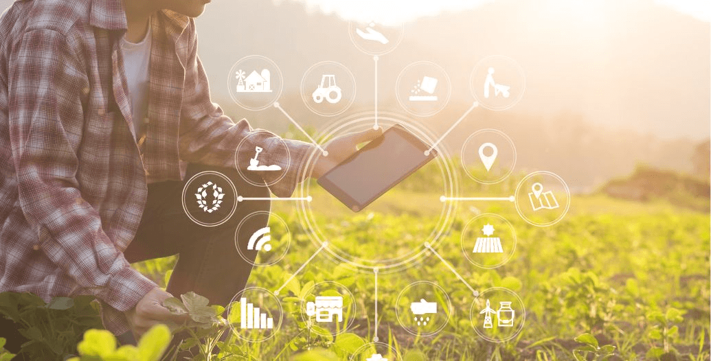 Capa Conteúdos Sebrae Play (4).jpg