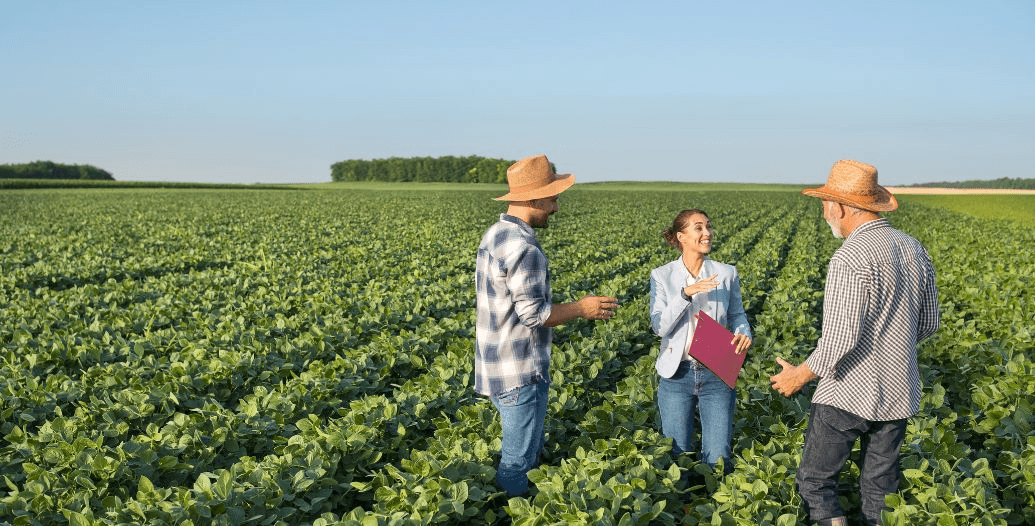 Capa Conteúdos Sebrae Play (1).jpg