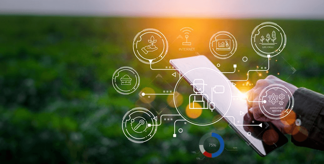 Capa Conteúdos Sebrae Play.jpg