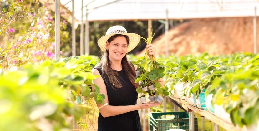 Capa Conteúdos Sebrae Play.jpg