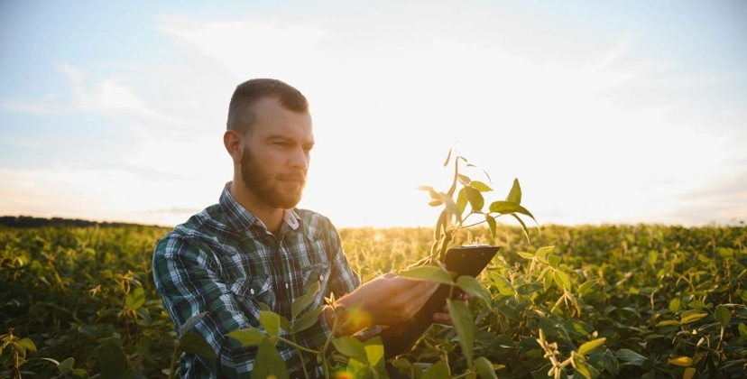 Capa Conteúdos Sebrae Play.jpg