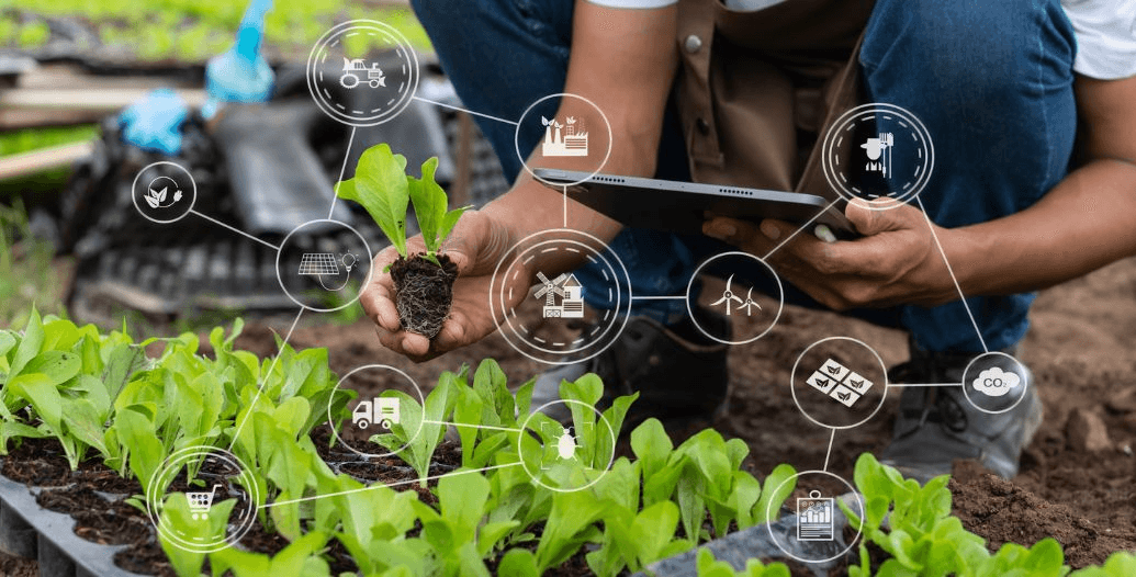 Capa Conteúdos Sebrae Play (5).jpg