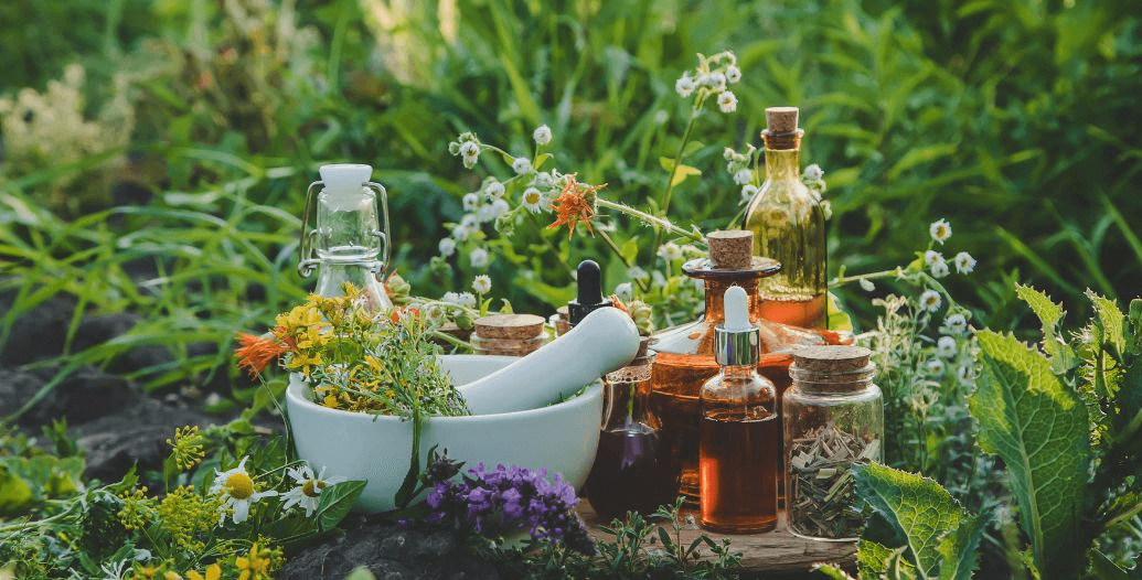 Capa Conteúdos Sebrae Play (5).jpg