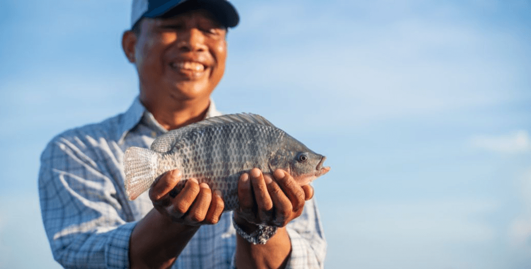 Capa Conteúdos Sebrae Play (1).jpg