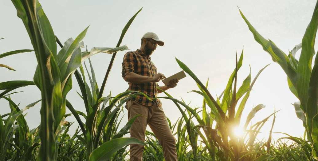 Capa Conteúdos Sebrae Play.jpg