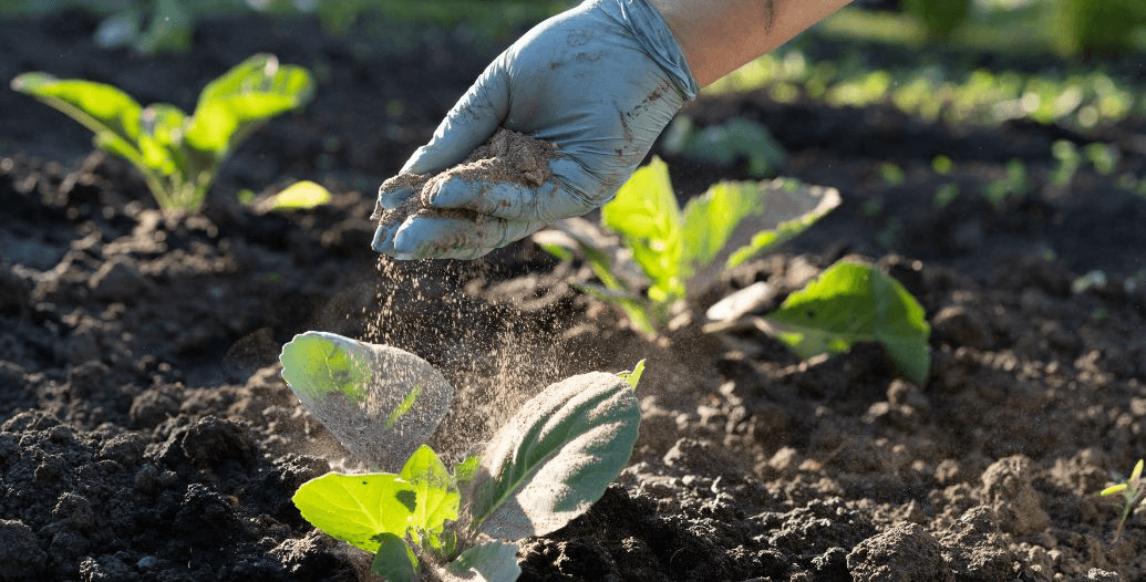 Capa Conteúdos Sebrae Play.jpg