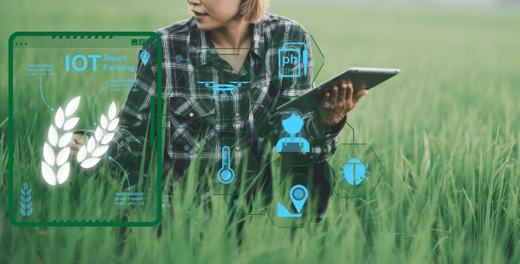 Capa Conteúdos Sebrae Play.jpg