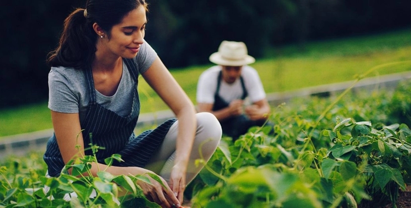 Capa Conteúdos Sebrae Play.jpg