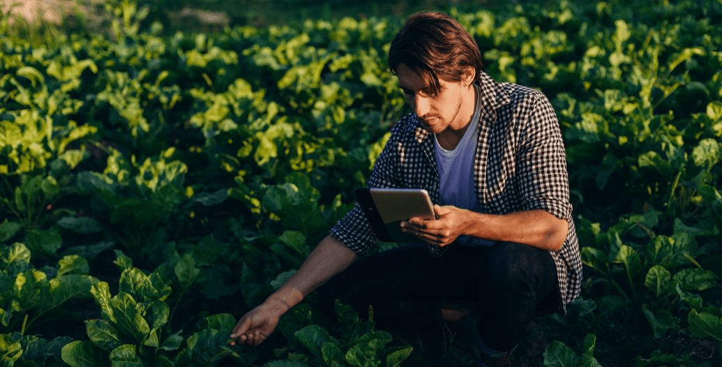 Capa Conteúdos Sebrae Play (4).jpg