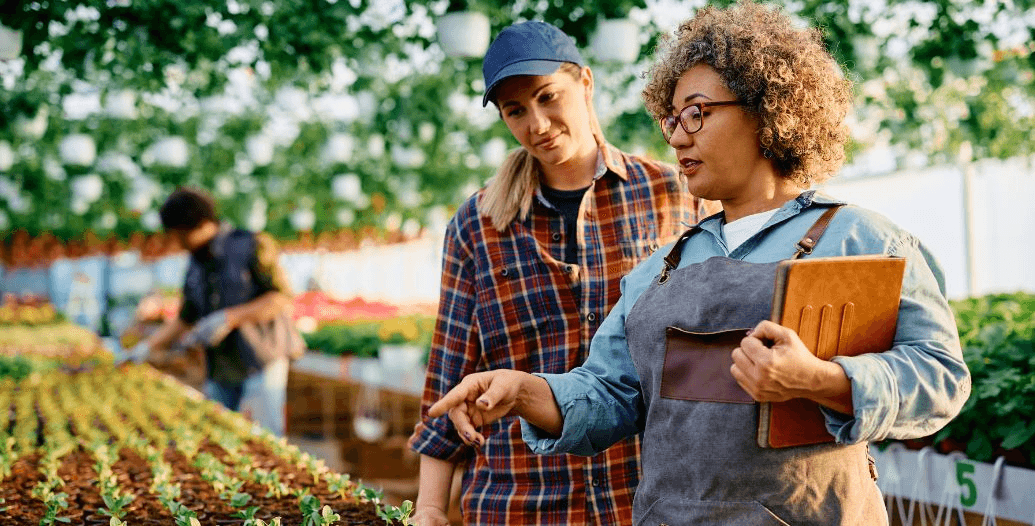 Capa Conteúdos Sebrae Play.jpg