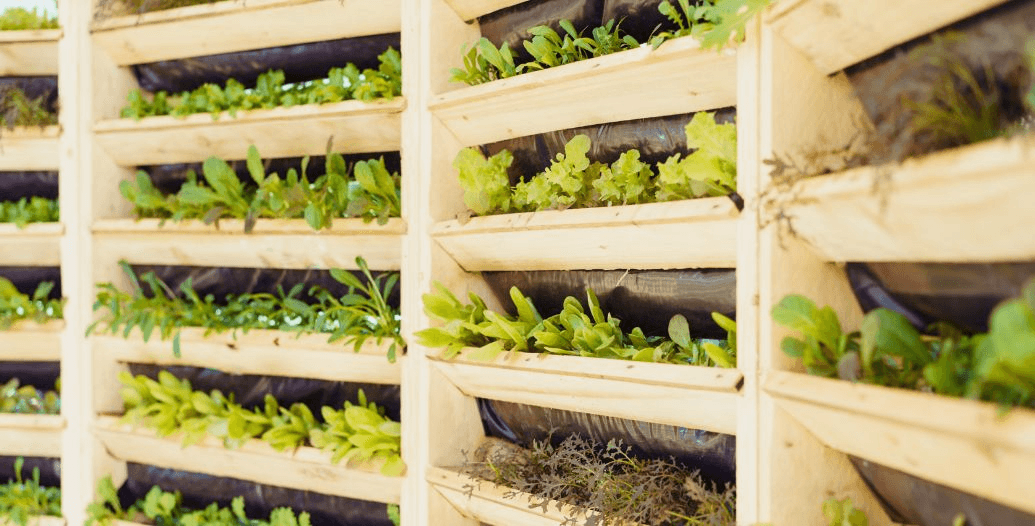 Capa Conteúdos Sebrae Play (1).jpg