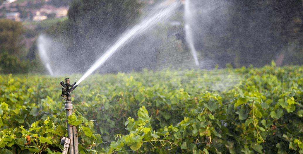 Capa Conteúdos Sebrae Play (3).jpg