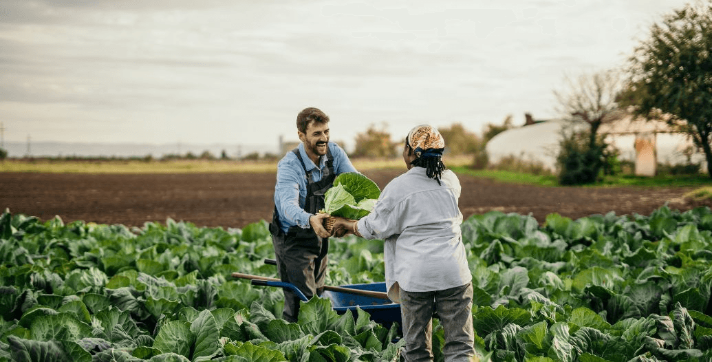 Capa Conteúdos Sebrae Play (4).jpg