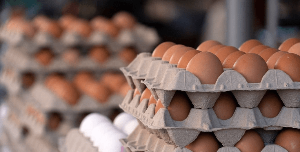 Capa Conteúdos Sebrae Play (1).jpg