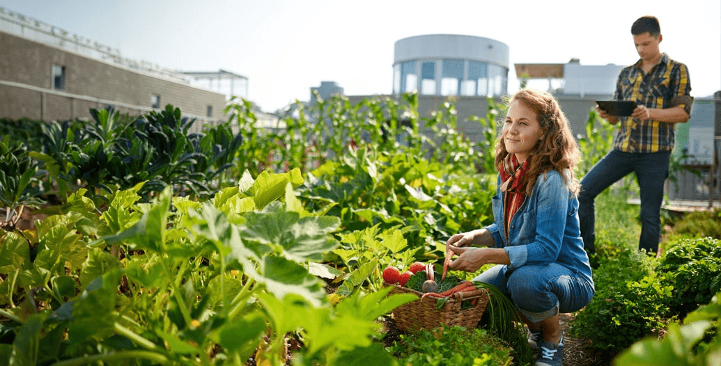 Inovação com propósito.jpg