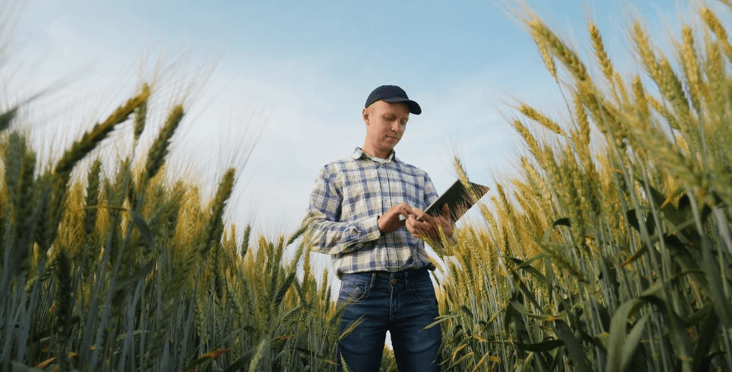 Capa Conteúdos Sebrae Play (1).jpg