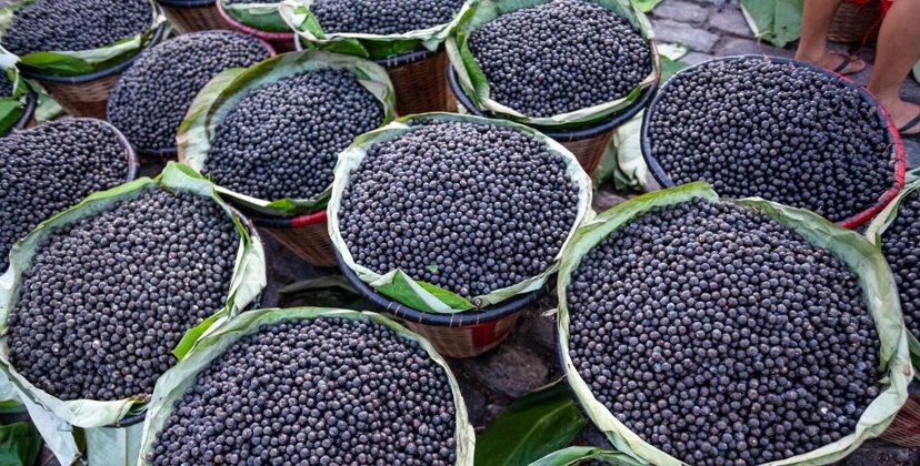 Capa Conteúdos Sebrae Play.jpg