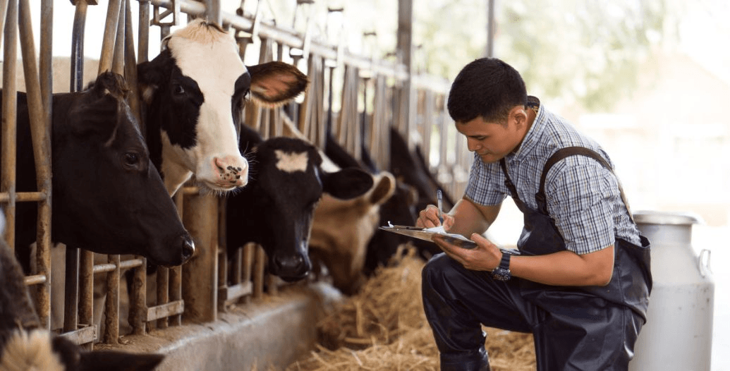 Capa Conteúdos Sebrae Play.jpg