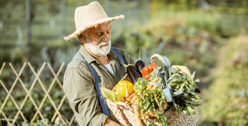 Capa Conteúdos Sebrae Play (8).jpg