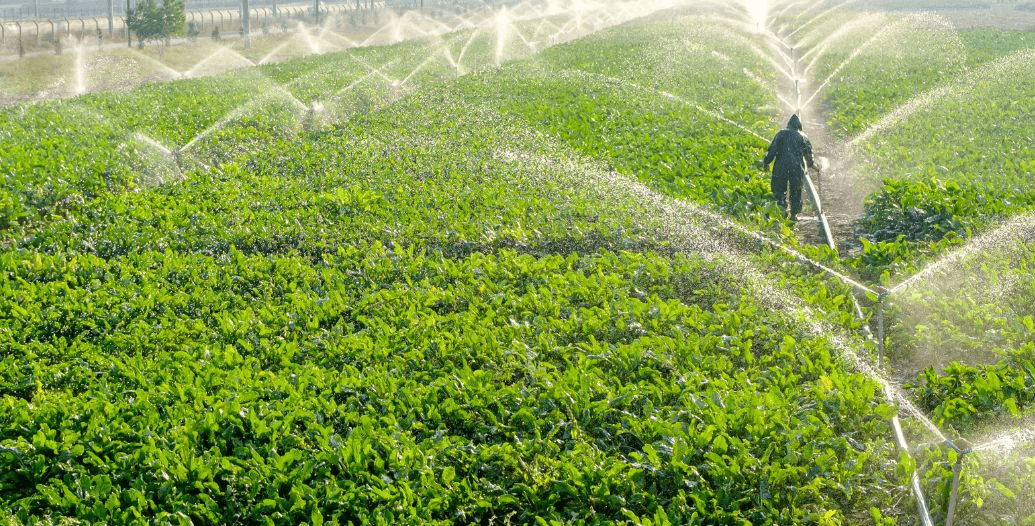 Capa Conteúdos Sebrae Play.jpg