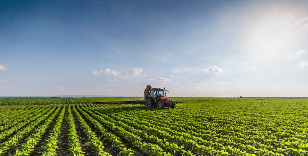 Capa Conteúdos Sebrae Play (1).jpg