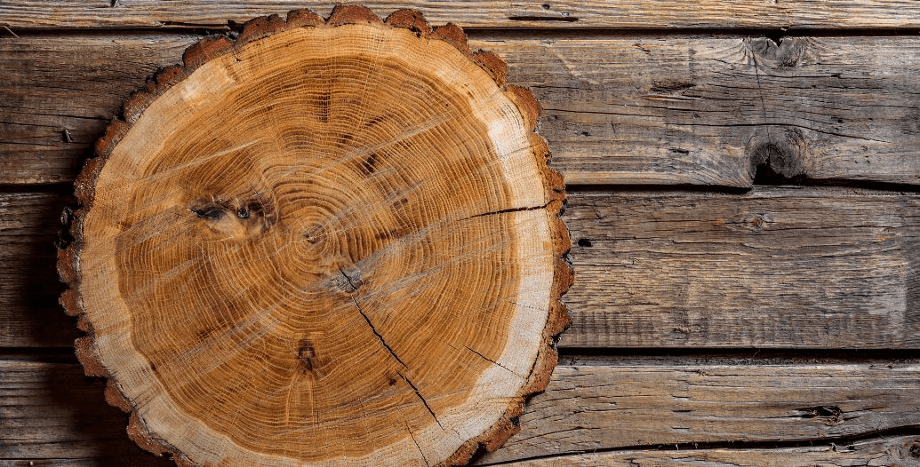 Capa Conteúdos Sebrae Play (5).jpg