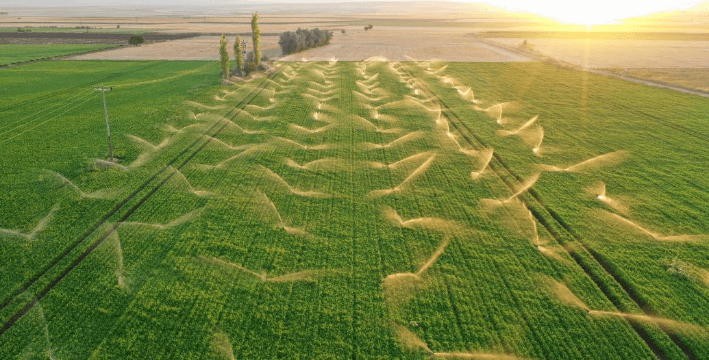 Capa Conteúdos Sebrae Play.jpg