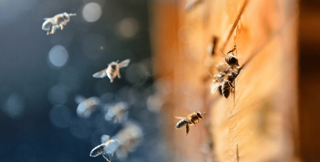 Capa Conteúdos Sebrae Play (2).jpg