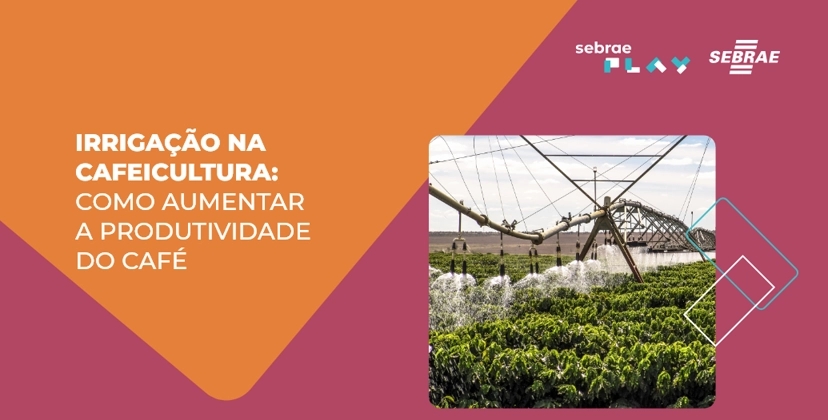 1-Sebrae_Play_semana_cafe.png
