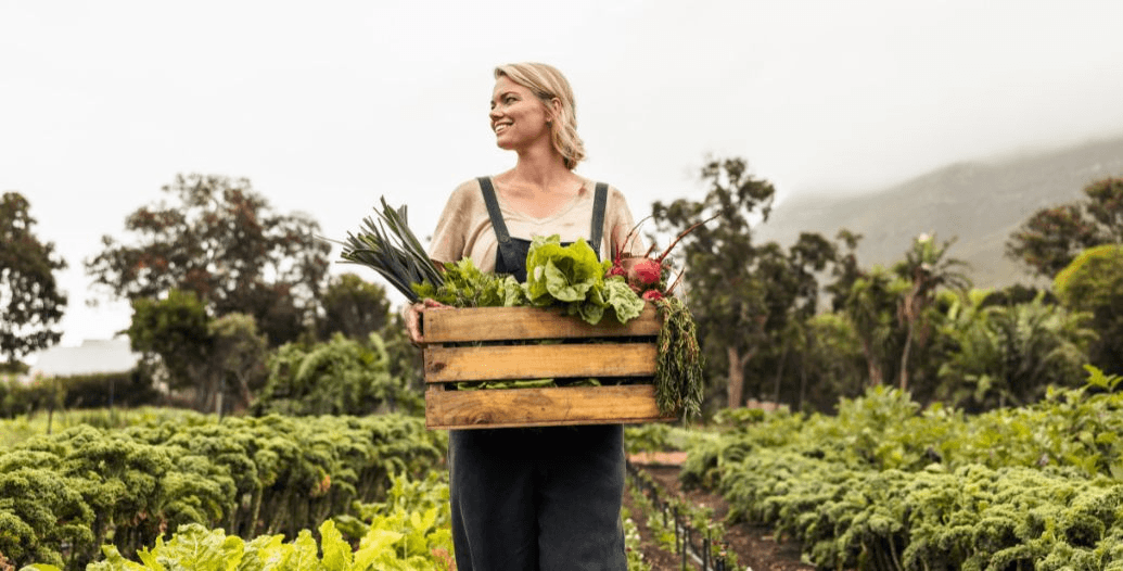 Capa Conteúdos Sebrae Play (2).jpg