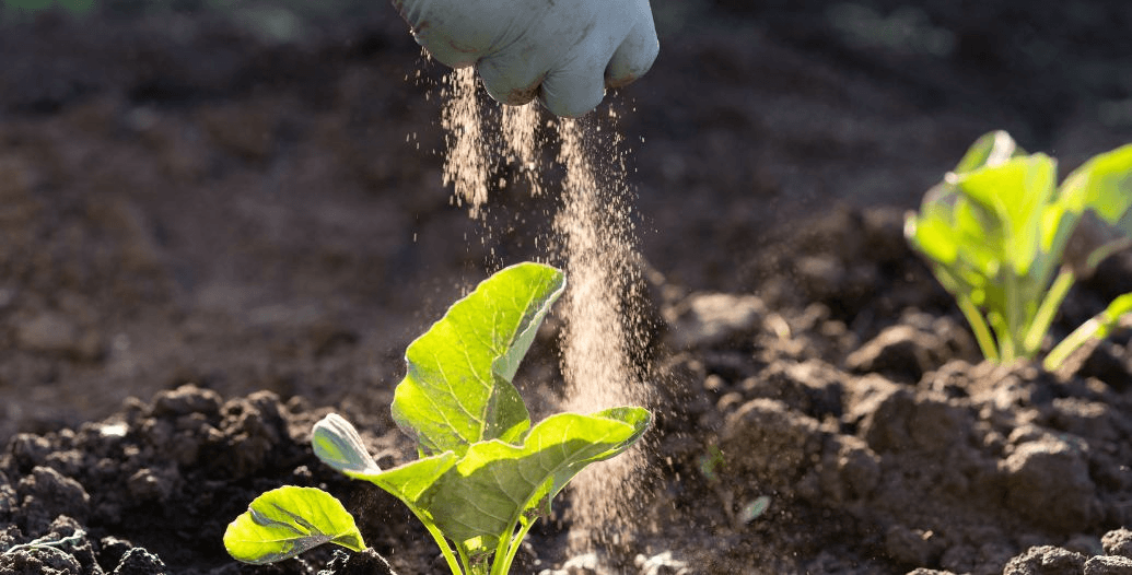 Capa Conteúdos Sebrae Play.jpg