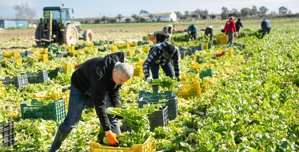 Capa Conteúdos Sebrae Play (1).jpg